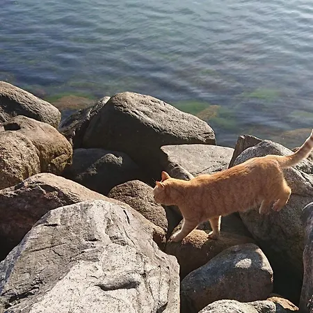 4 Person In Karrebæksminde