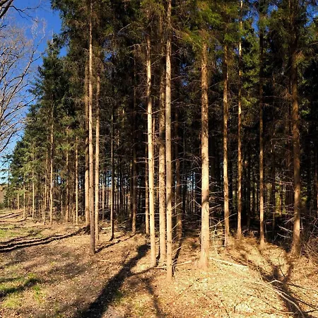 4 Person In * Karrebæksminde