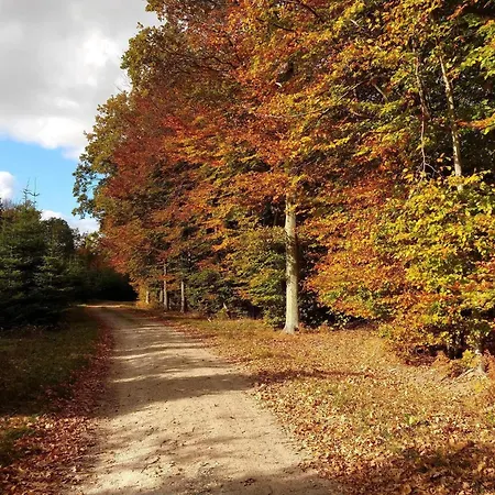 4 Person In Feriehus